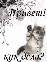  привет открытки привет, как дела. как настроение. пожелание хорошего дня