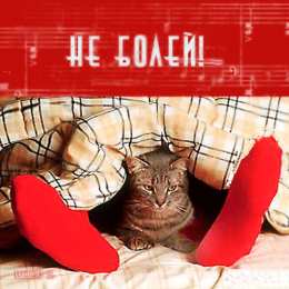 Открытки выздоравливай выздоравливай. желаю скорейшего выздоровления. не болей выздоравливай. желаю скорейшего выздоровления. не болей