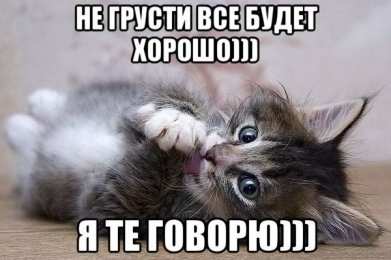 не грусти, не скучай не грусти. не скучай. все будет хорошо. улыбнись. все пройдет