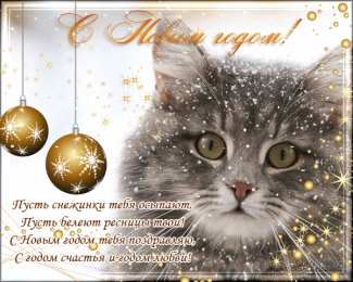 Открытки Новый год новый год. поздравления с новым годом. с наступающим новым годом поздравления с новым годом. открытки к новому году. пожелания в новый год. елка. шарики. дед мороз. снегурочка. снеговик. зима. праздник. новогодняя ночь. чудо.