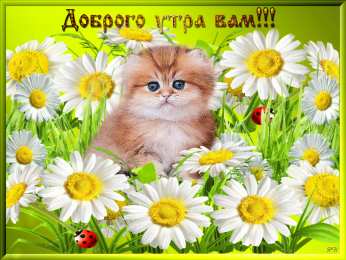 доброе утро доброе утро. открытки с добрым утром. с добрым утром. желаю доброго утра
