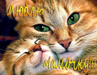 маме открытки маме с любовью. мама я тебя люблю. моя мама самая лучшая