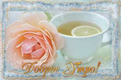 доброе утро доброе утро. открытки с добрым утром. с добрым утром. желаю доброго утра