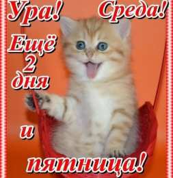 среда С веселой средой