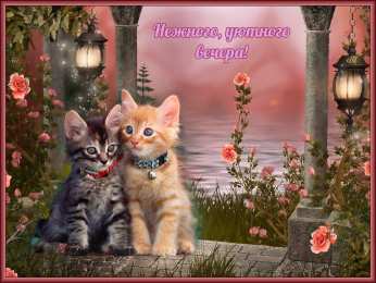 добрый вечер добрый вечер. приятного вечера. доброго вам вечера. хорошего вечера. приятного летнего вечера. отдыхайте с удовольствием .хорошего вечера, приятного общения