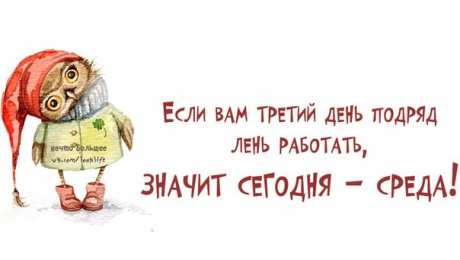 среда С веселой средой