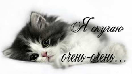 я скучаю открытки я скучаю. мне скучно без тебя. я соскучилась по тебе . i miss you.