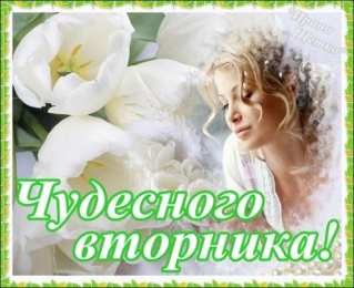 вторник вторник. с добрым вторником.