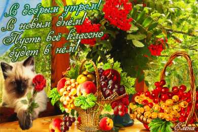 доброе утро доброе утро. открытки с добрым утром. с добрым утром. желаю доброго утра