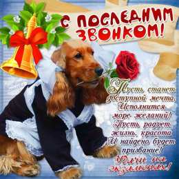 25 мая - Последний звонок открытки на 25 мая. последний звонок. прощай школа. выпускной
