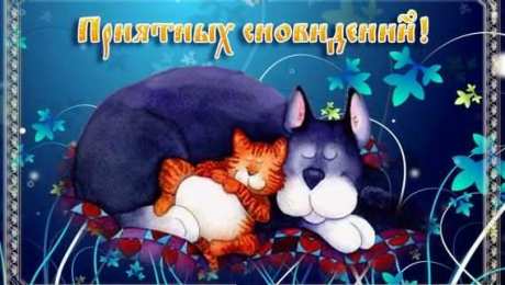 Открытки спокойной ночи спокойной ночи. открытки с пожеланием спокойной ночи. приятных снов. сладких снов. приятных сновидений. доброй ночи. нежных снов. волшебных снов. спите сладко  спокойной ночи. открытки с пожеланием спокойной ночи. приятных снов. сладких снов. приятных сновидений. доброй ночи. нежных снов. волшебных снов. спите сладко 