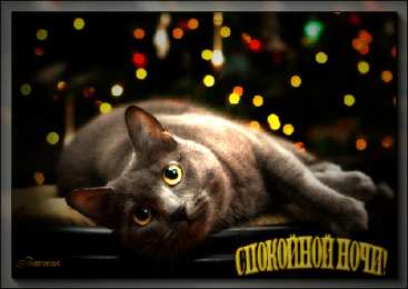 Открытки спокойной ночи спокойной ночи. открытки с пожеланием спокойной ночи. приятных снов. сладких снов. приятных сновидений. доброй ночи. нежных снов. волшебных снов. спите сладко  спокойной ночи. открытки с пожеланием спокойной ночи. приятных снов. сладких снов. приятных сновидений. доброй ночи. нежных снов. волшебных снов. спите сладко 