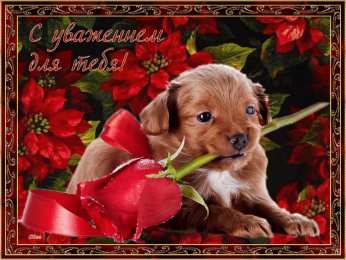 открытки для друзей скачать открытки для друзей, приятные слова для друзей, спасибо друзья, 