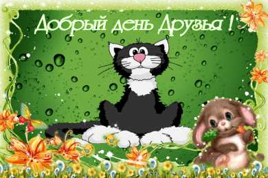 добрый день добрый день. открытки добрый день.доброго дня. хорошего дня. удачного дня