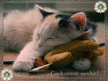 Открытки спокойной ночи спокойной ночи. открытки с пожеланием спокойной ночи. приятных снов. сладких снов. приятных сновидений. доброй ночи. нежных снов. волшебных снов. спите сладко  спокойной ночи. открытки с пожеланием спокойной ночи. приятных снов. сладких снов. приятных сновидений. доброй ночи. нежных снов. волшебных снов. спите сладко 