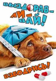 Открытки выздоравливай выздоравливай. желаю скорейшего выздоровления. не болей выздоравливай. желаю скорейшего выздоровления. не болей