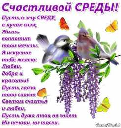 среда С веселой средой