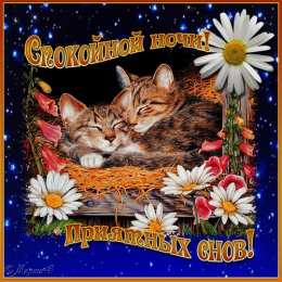 Открытки спокойной ночи спокойной ночи. открытки с пожеланием спокойной ночи. приятных снов. сладких снов. приятных сновидений. доброй ночи. нежных снов. волшебных снов. спите сладко  спокойной ночи. открытки с пожеланием спокойной ночи. приятных снов. сладких снов. приятных сновидений. доброй ночи. нежных снов. волшебных снов. спите сладко 