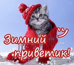  привет открытки привет, как дела. как настроение. пожелание хорошего дня