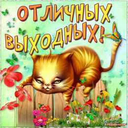 приятных выходных Приятных выходных