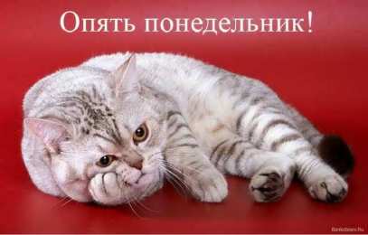 понедельник понедельник. открытки к понедельнику. опять понедельник. легкого
