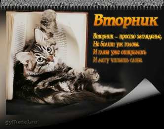 вторник вторник. с добрым вторником.