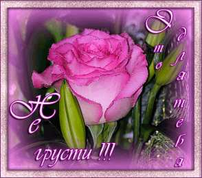 не грусти, не скучай не грусти. не скучай. все будет хорошо. улыбнись. все пройдет