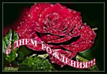 с днем рождения (девушке) и, пожелания с днем рождения девушке, цветы