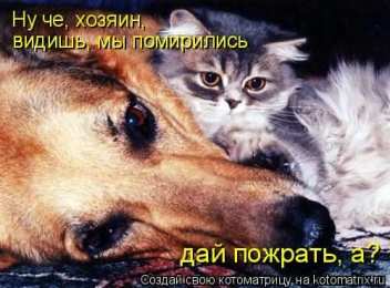 давай мириться Давай мириться