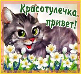  привет открытки привет, как дела. как настроение. пожелание хорошего дня