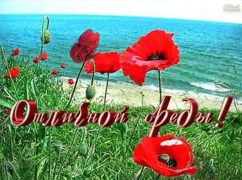 среда С веселой средой