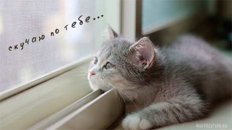 я скучаю открытки я скучаю. мне скучно без тебя. я соскучилась по тебе . i miss you.