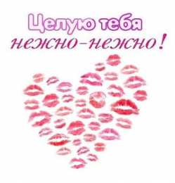 целую открытки целую, целую много раз