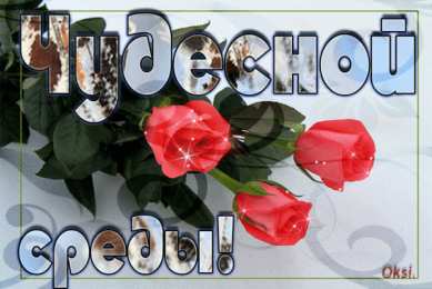 среда С веселой средой