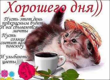 добрый день добрый день. открытки добрый день.доброго дня. хорошего дня. удачного дня