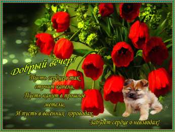 добрый вечер добрый вечер. приятного вечера. доброго вам вечера. хорошего вечера. приятного летнего вечера. отдыхайте с удовольствием .хорошего вечера, приятного общения