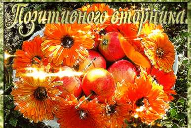 вторник вторник. с добрым вторником.