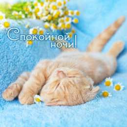 Открытки спокойной ночи спокойной ночи. открытки с пожеланием спокойной ночи. приятных снов. сладких снов. приятных сновидений. доброй ночи. нежных снов. волшебных снов. спите сладко  спокойной ночи. открытки с пожеланием спокойной ночи. приятных снов. сладких снов. приятных сновидений. доброй ночи. нежных снов. волшебных снов. спите сладко 