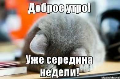 среда С веселой средой