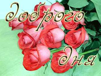 добрый день добрый день. открытки добрый день.доброго дня. хорошего дня. удачного дня