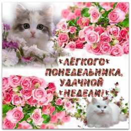 понедельник понедельник. открытки к понедельнику. опять понедельник. легкого