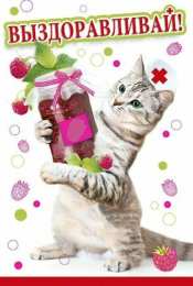 выздоравливай выздоравливай. желаю скорейшего выздоровления. не болей