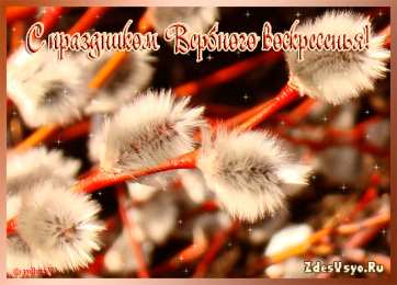 Вербное воскресенье Открытка