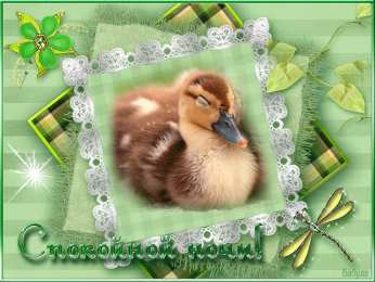 Открытки спокойной ночи спокойной ночи. открытки с пожеланием спокойной ночи. приятных снов. сладких снов. приятных сновидений. доброй ночи. нежных снов. волшебных снов. спите сладко  спокойной ночи. открытки с пожеланием спокойной ночи. приятных снов. сладких снов. приятных сновидений. доброй ночи. нежных снов. волшебных снов. спите сладко 