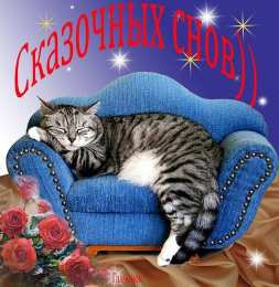 Открытки спокойной ночи спокойной ночи. открытки с пожеланием спокойной ночи. приятных снов. сладких снов. приятных сновидений. доброй ночи. нежных снов. волшебных снов. спите сладко  спокойной ночи. открытки с пожеланием спокойной ночи. приятных снов. сладких снов. приятных сновидений. доброй ночи. нежных снов. волшебных снов. спите сладко 