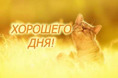 Государственные праздники новый год