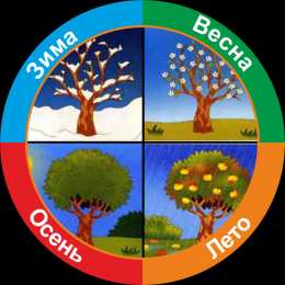  времена года