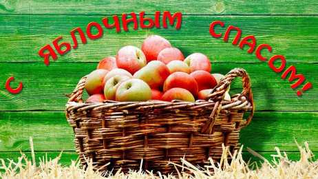 пожелания ко времени суток привет, как дела