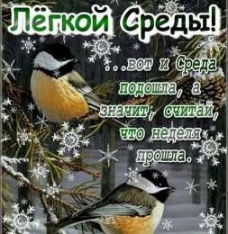 С веселой средой