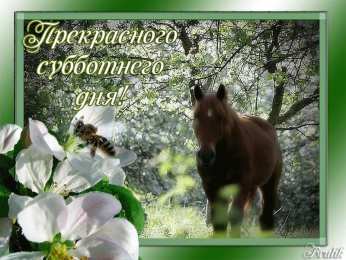 Хорошего субботнего дня